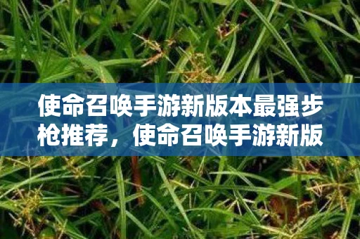 使命召唤手游新版本最强步枪推荐，使命召唤手游新版本最强步枪推荐