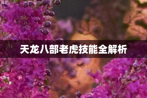 天龙八部老虎技能全解析图片