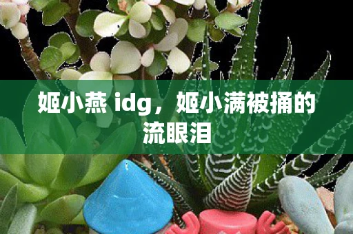 姬小燕 idg，姬小满被捅的流眼泪