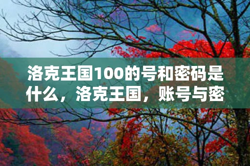 洛克王国100的号和密码是什么，洛克王国，账号与密码的珍贵与保护