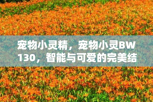 宠物小灵精，宠物小灵BW130，智能与可爱的完美结合