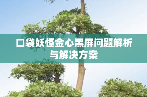 口袋妖怪金心黑屏问题解析与解决方案图片