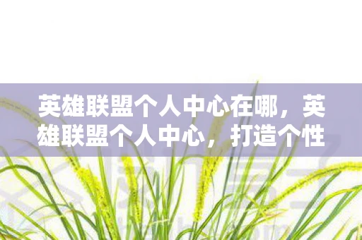 英雄联盟个人中心在哪，英雄联盟个人中心，打造个性化游戏体验