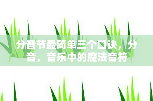 分音节最简单三个口诀，分音，音乐中的魔法音符