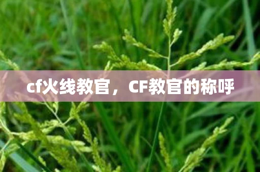 cf火线教官，CF教官的称呼