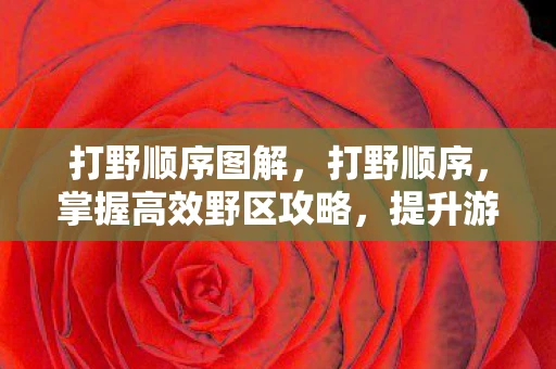 打野顺序图解，打野顺序，掌握高效野区攻略，提升游戏胜率