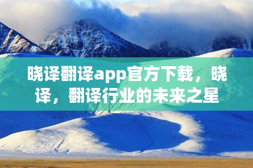 晓译翻译app官方下载，晓译，翻译行业的未来之星