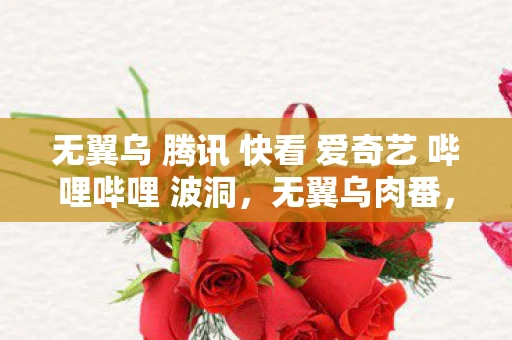 无翼乌 腾讯 快看 爱奇艺 哔哩哔哩 波洞，无翼乌肉番，探索未知的美食之旅