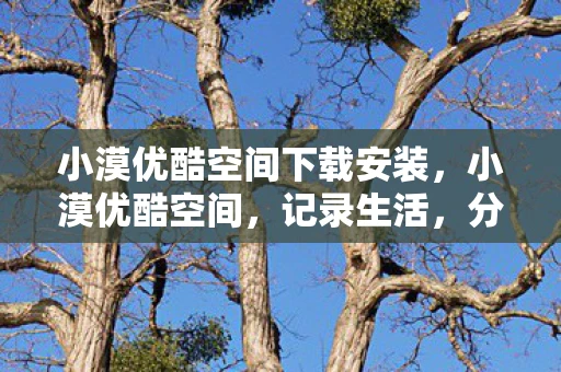 小漠优酷空间下载安装，小漠优酷空间，记录生活，分享感动