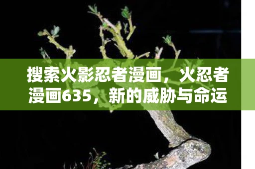 搜索火影忍者漫画，火忍者漫画635，新的威胁与命运的交织