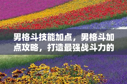 男格斗技能加点，男格斗加点攻略，打造最强战斗力的关键