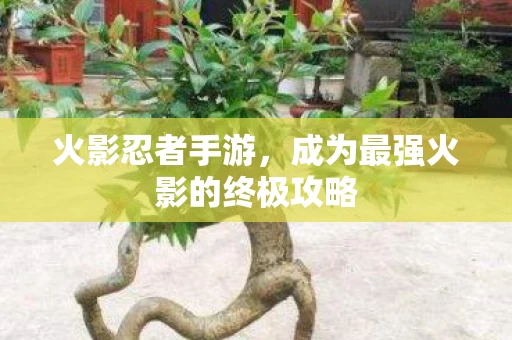 成为最强火影的终极攻略图片