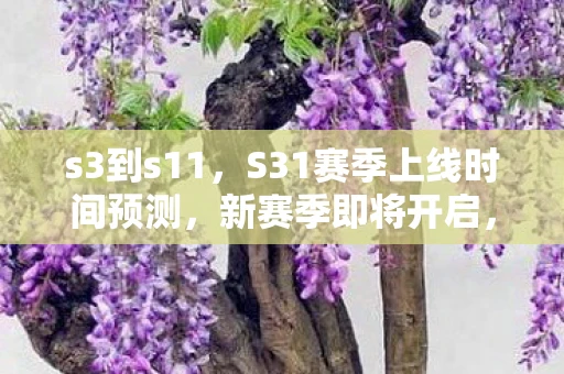 s3到s11，S31赛季上线时间预测，新赛季即将开启，你准备好了吗？
