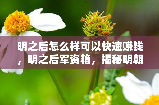 明之后怎么样可以快速赚钱，明之后军资箱，揭秘明朝军事储备的神秘宝箱