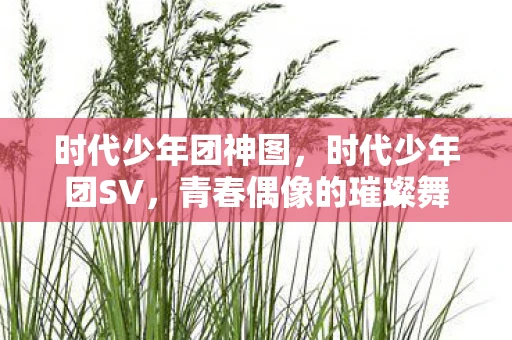 时代少年团神图，时代少年团SV，青春偶像的璀璨舞台