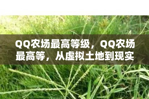 QQ农场最高等级，QQ农场最高等，从虚拟土地到现实生活的跨越
