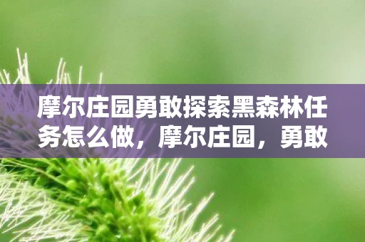摩尔庄园勇敢探索黑森林任务怎么做，摩尔庄园，勇敢探索黑森林任务
