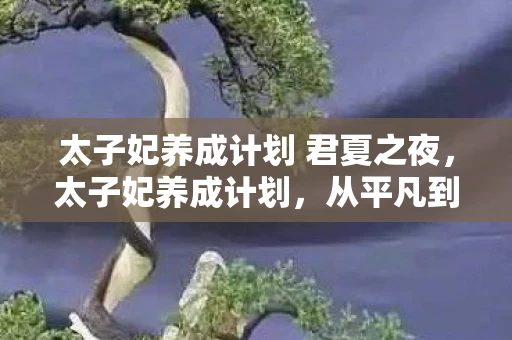 太子妃养成计划 君夏之夜，太子妃养成计划，从平凡到非凡的华丽蜕变