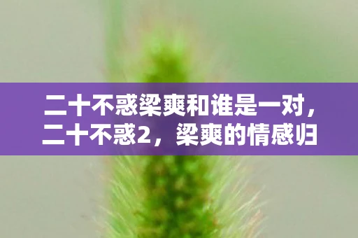 二十不惑梁爽和谁是一对，二十不惑2，梁爽的情感归宿与成长之路