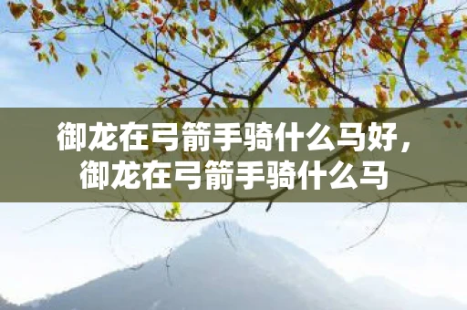 御龙在弓箭手骑什么马好，御龙在弓箭手骑什么马