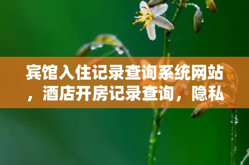 宾馆入住记录查询系统网站，酒店开房记录查询，隐私与法律的灰色地带