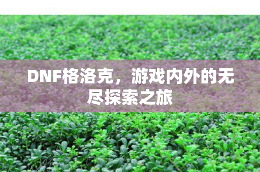 游戏内外的无尽探索之旅图片