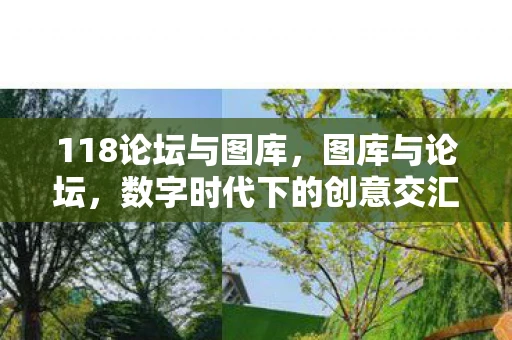 118论坛与图库，图库与论坛，数字时代下的创意交汇点