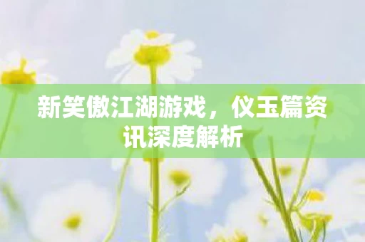 仪玉篇资讯深度解析图片