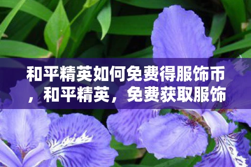 和平精英如何免费得服饰币，和平精英，免费获取服饰币的实用攻略