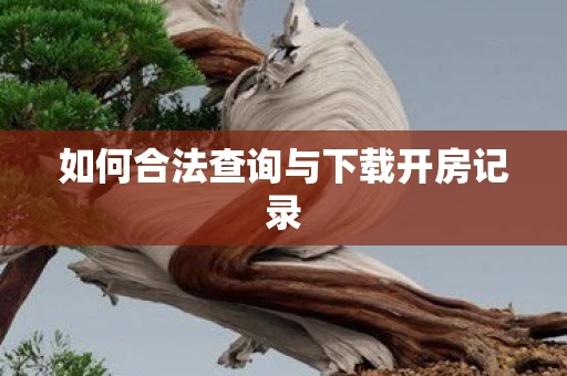 如何合法查询与下载开房记录