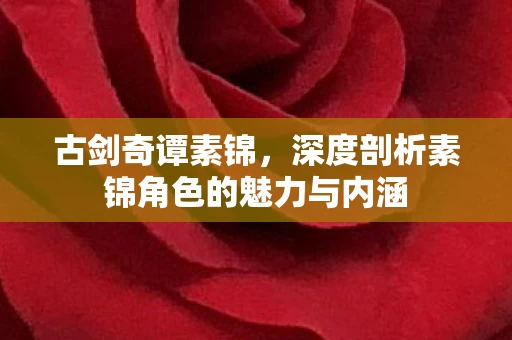 深度剖析素锦角色的魅力与内涵图片