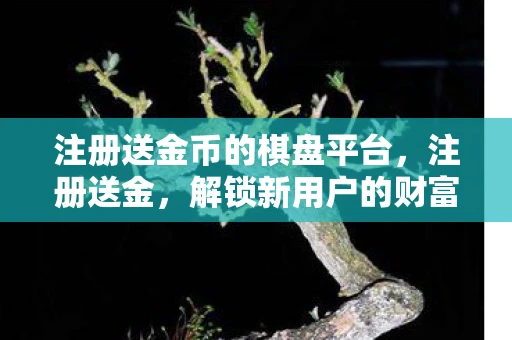 注册送金币的棋盘平台，注册送金，解锁新用户的财富密码