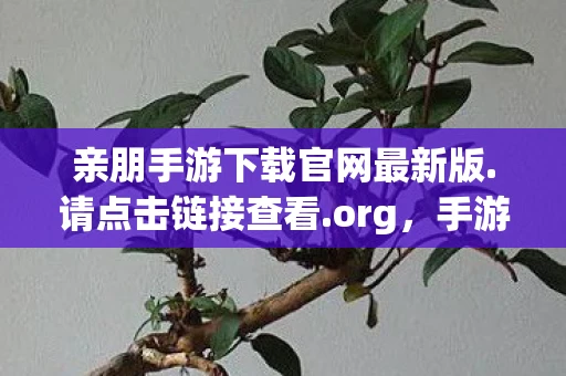 亲朋手游下载官网最新版.请点击链接查看.org，手游版亲朋下载指南，轻松连接，欢乐无限