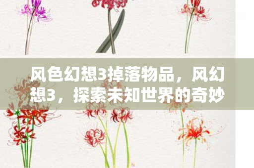 风色幻想3掉落物品，风幻想3，探索未知世界的奇妙掉落