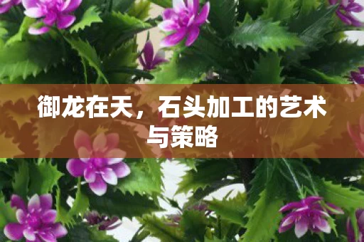石头加工的艺术与策略图片
