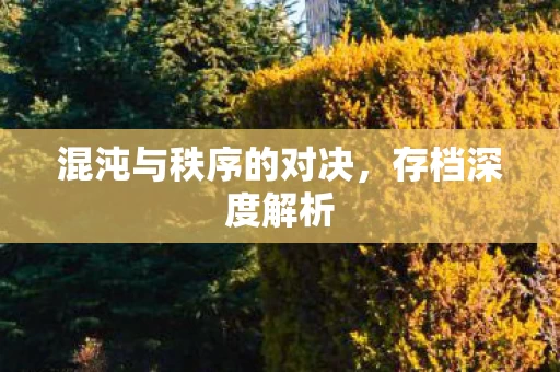 混沌与秩序的对决图片