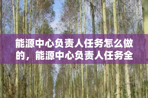 能源中心负责人任务怎么做的，能源中心负责人任务全解析，如何高效管理并推动能源转型