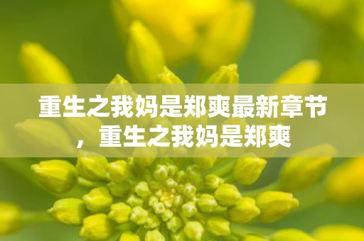重生之我妈是郑爽最新章节,重生之我妈是郑爽 重生之我妈是郑爽最新章节,重生之我妈是郑爽