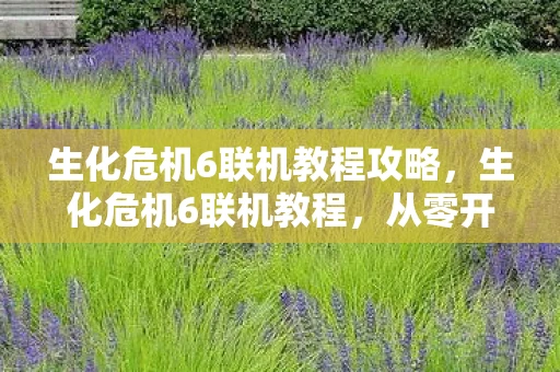 生化危机6联机教程攻略,生化危机6联机教程,从零开始,打造你的生存小队 生化危机6联机教程攻略,生化危机6联机教程,从零开始,打造你的生存小队