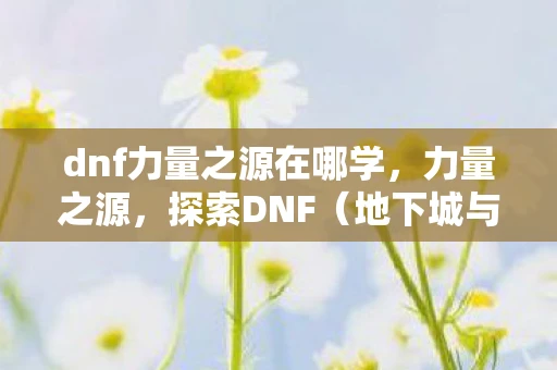 dnf力量之源在哪学，力量之源，探索DNF（地下城与勇士）中的力量体系