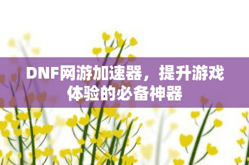 DNF网游加速器，提升游戏体验的必备神器