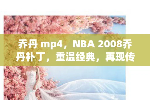 乔丹 mp4，NBA 2008乔丹补丁，重温经典，再现传奇