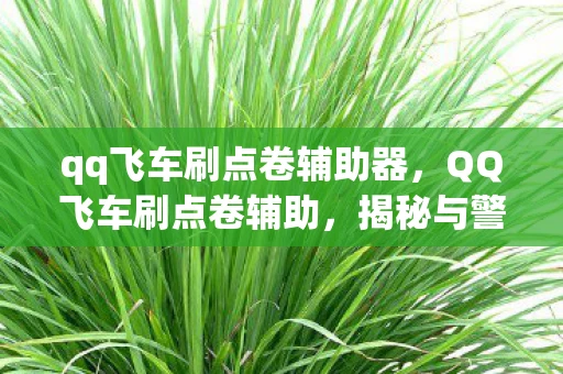 qq飞车刷点卷辅助器，QQ飞车刷点卷辅助，揭秘与警示