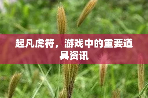 游戏中的重要道具资讯图片
