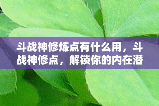 斗战神修炼点有什么用,斗战神修点,解锁你的内在潜能 斗战神修炼点有什么用,斗战神修点,解锁你的内在潜能