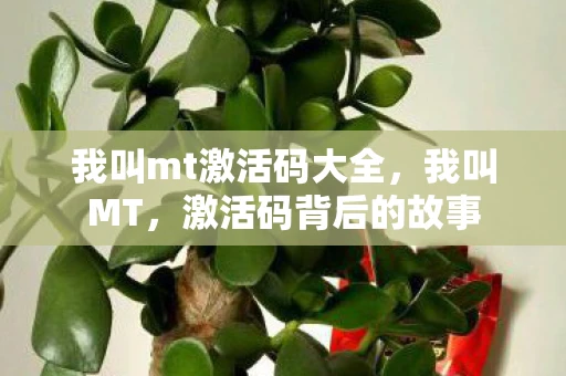 我叫mt激活码大全，我叫MT，激活码背后的故事