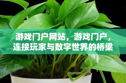 游戏门户网站,游戏门户,连接玩家与数字世界的桥梁 游戏门户网站,游戏门户,连接玩家与数字世界的桥梁