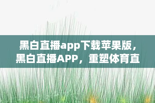 黑白直播app下载苹果版，黑白直播APP，重塑体育直播新体验
