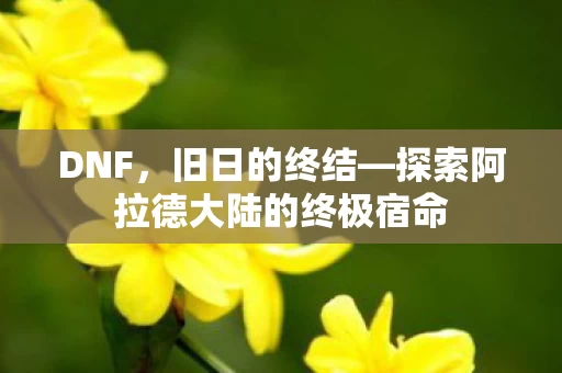 探索阿拉德大陆的终极宿命图片