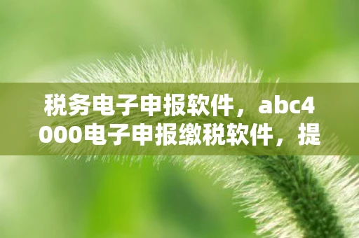 税务电子申报软件，abc4000电子申报缴税软件，提升税务管理效率，助力企业稳健发展